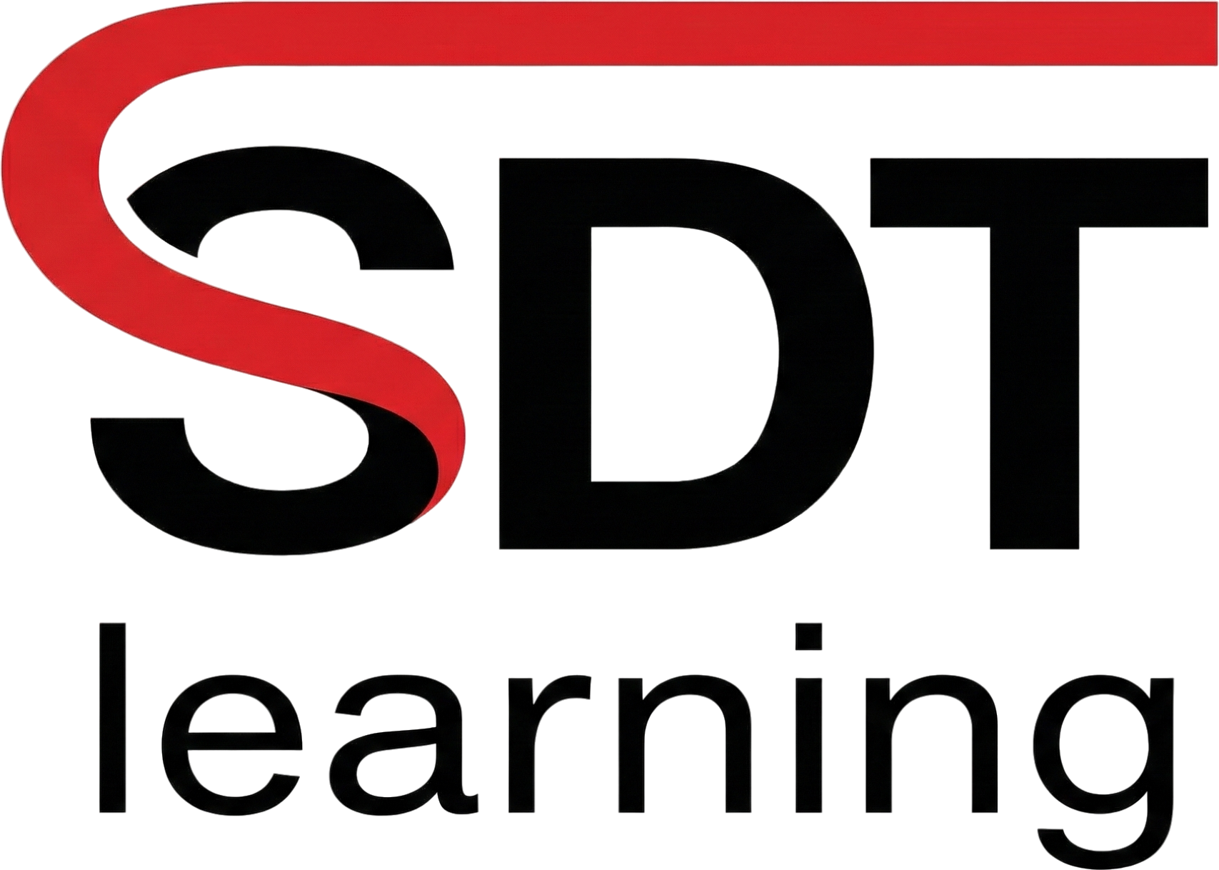 SDT International Logo